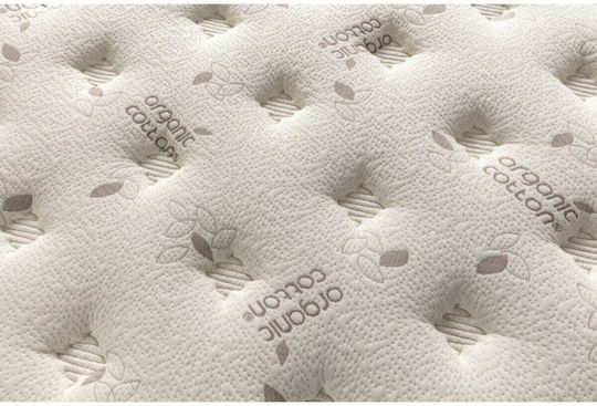 SteweHome Ορθοπεδικό Στρώμα Κούνιας 65x95+24cm SteweHome Ορθοπεδικό Στρώμα Κούνιας 65x95+24cm
