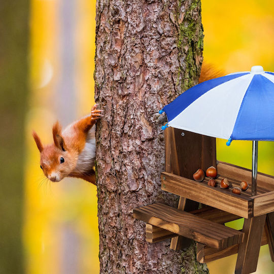 Relaxdays Tisch Eichhörnchen 2 Regenschirme