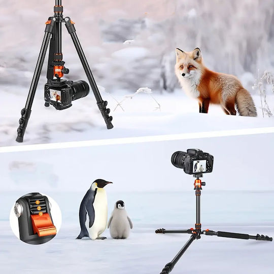 Dna Ps1 Pro Fotografisches Stativ Kamera Telefon Halter Fall 170 Cm