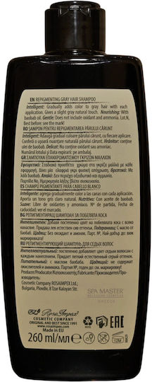 Men’s Master Χρωμοσαμπουάν Repigmenting Gray Hair Shampoo 260ml