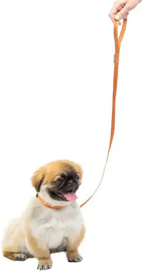 Ferplast Dog Leash/Lead Strap Large in Gray Color