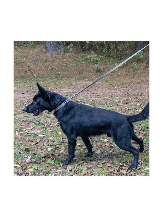 Hundehalsband Ferplast Greener Groß Orange