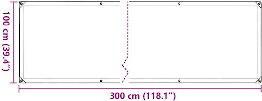 vidaXL Waterproof Tarpaulin 3x1m Transparent