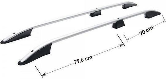 Omtec (with Roof Rack Legs) Silver