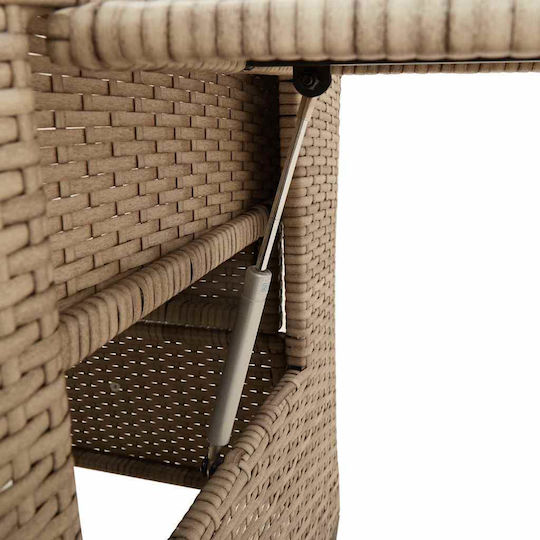 Outdoor Chair Rattan Beige with Cushion