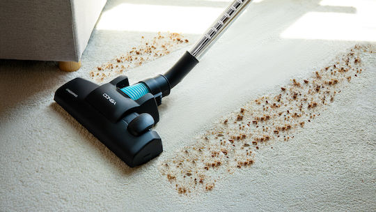 Cecotec Rockstar Aspirator Electric 800W cu Recipient 2.5l Negru