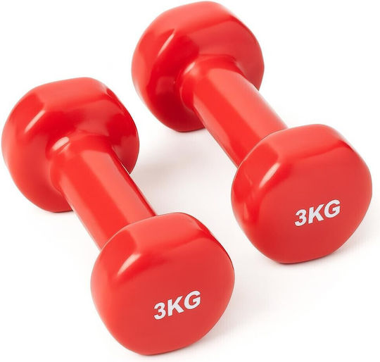 Αθλοπαιδιά Βαράκι Βινυλίου 1 x 3kg