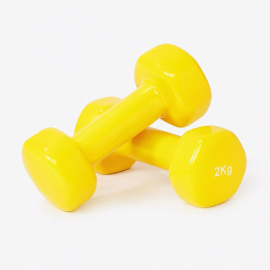 Αθλοπαιδιά Βαράκι Βινυλίου 1 x 2kg