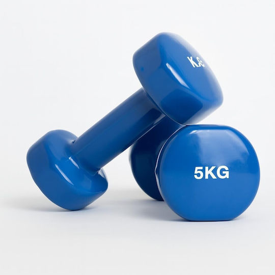 Αθλοπαιδιά Βαράκι Βινυλίου 1 x 5kg