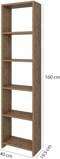 Bibliotecă Nuc 40x20x160 cm