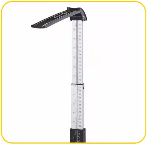 SPV Scale