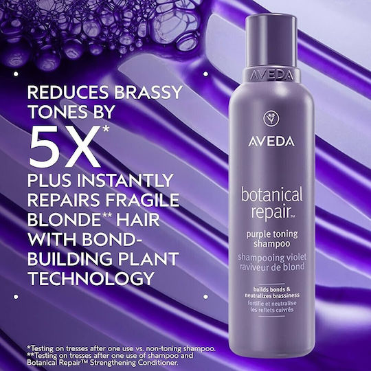 Aveda Botanical Σαμπουάν Αναδόμησης/Θρέψης για Ταλαιπωρημένα Μαλλιά 1000ml