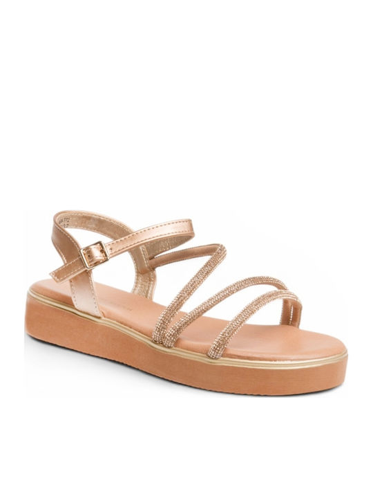 Carolina Santos Carolina Santos