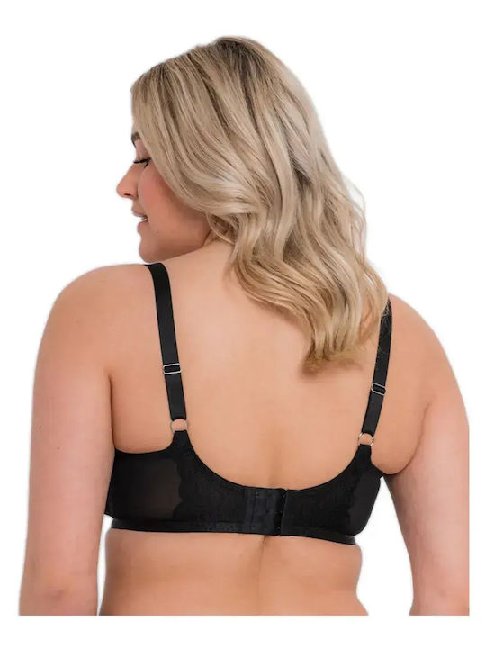 Curvy Kate Curvy Kate