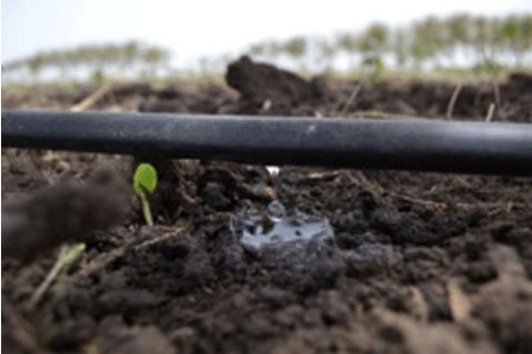 Eurodrip Ø20/75 Drip Pipe Ø20 300m