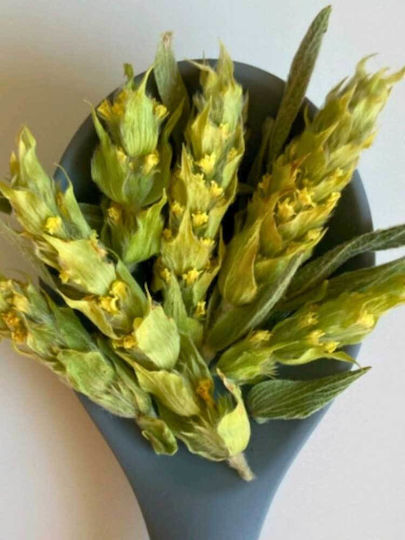 Grizo & Prasino Ceai de Munte Produs Organic 15gr
