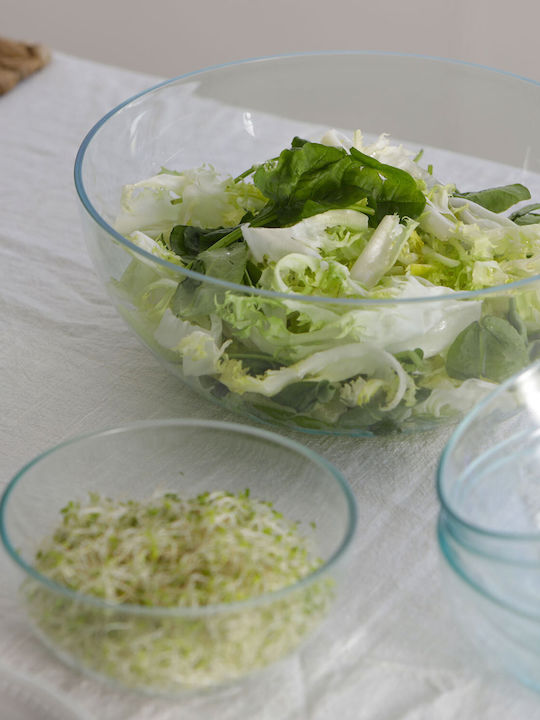Marine Business Bol Pentru Salate Transparent 6 Bucăți
