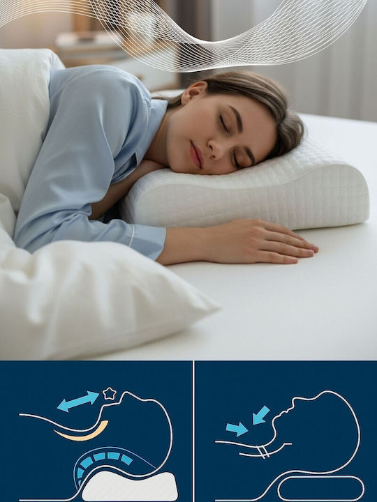 SteweHome Latex Bed Pillow 60x40x12cm