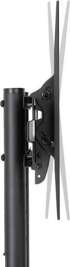 Mobile Tv Stand On Wheels Adjustable 37"-70"