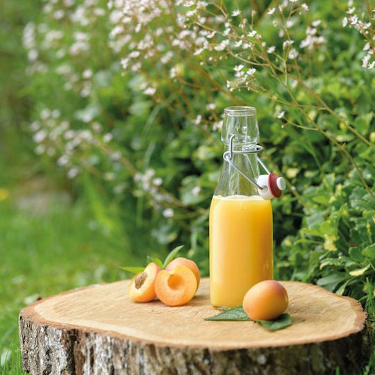 Μπουκάλι Πόσιμου 250 Ml Westmark