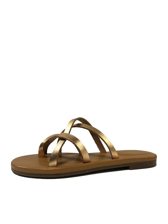 Hush Puppies