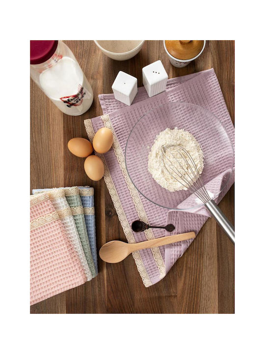 SteweHome Kitchen Towel Made of 100% Cotton in Blue Colour 40x60cm 5 Pieces