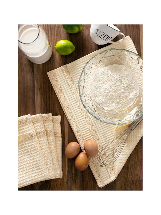 SteweHome Kitchen Towel Made of 100% Cotton in Beige Colour 40x60cm 5 Pieces