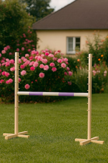 Super Hobby Horse Παιχνίδι Hobby Horse