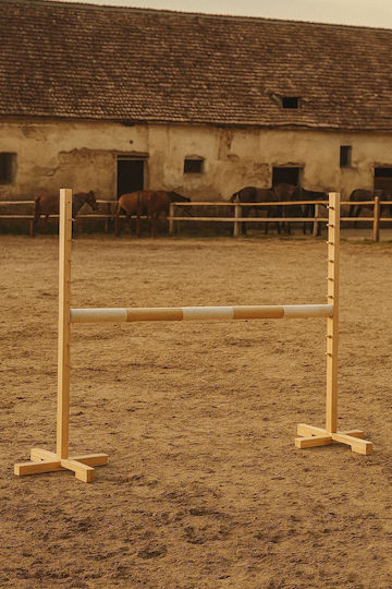 Super Hobby Horse Jucărie Hobby Horse