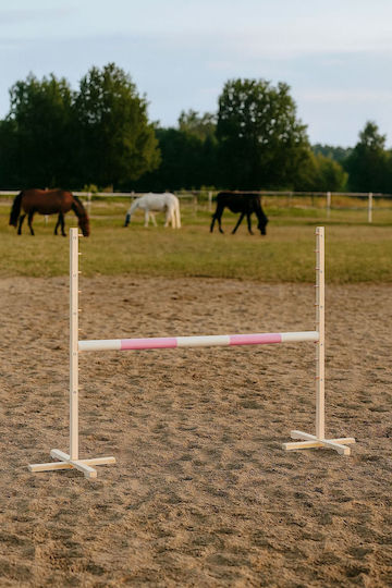 Super Hobby Horse Hobby Horse Toy