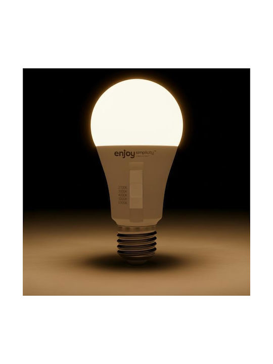 Elvhx LED Spot with 10 Lights