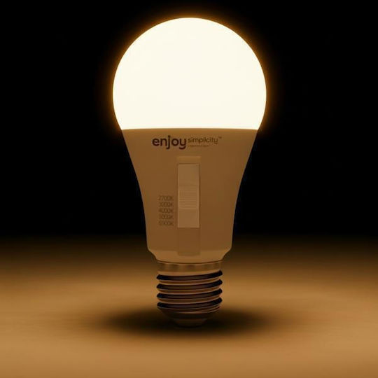 Elvhx LED Spot with 10 Lights