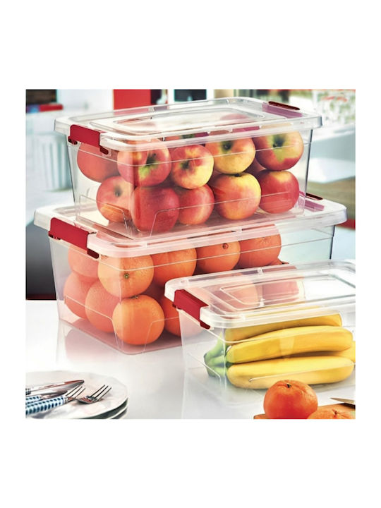 Viosarp Plastic Storage Box with Lid Transparent 36x23x16cm