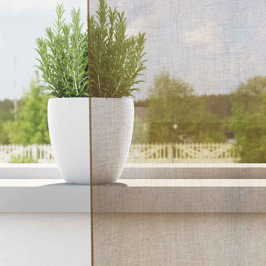 vidaXL Set Vorhänge mit Grommets Voile Hellbraun 140x260cm