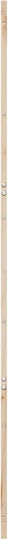 Poartă Tip Hambar Natur 80 x 2,5 x 208 Cm Lemn Masiv De Pin 42047141 Bej