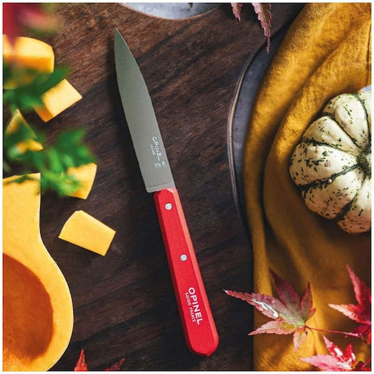 Opinel No 112 Peeling Knife Made of Stainless Steel 10cm