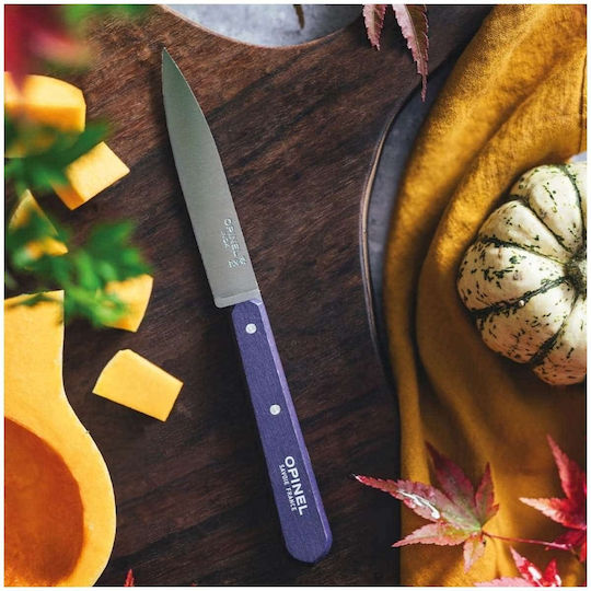 Opinel No 112 Peeling Knife Made of Stainless Steel 10cm