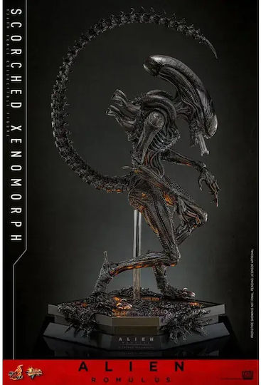 Hot Toys Alien Romulus Verbrennener Xenomorph Action-Figur in Maßstab 1:6
