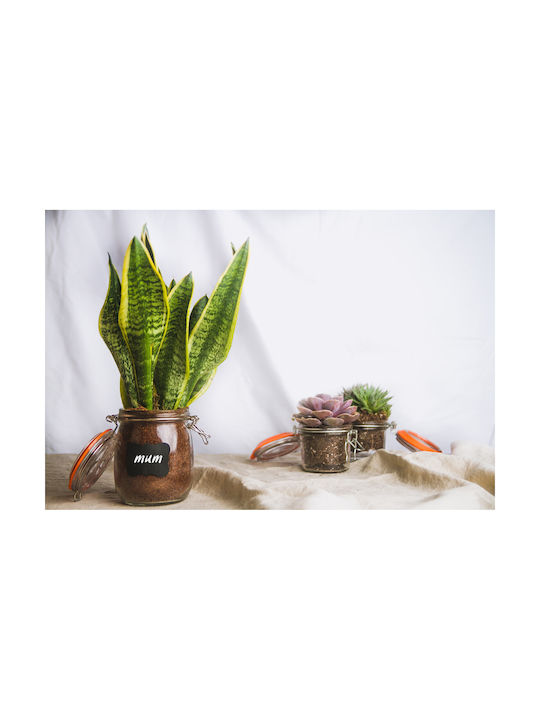 Kitchen Craft Βάζο Γενικής Χρήσης με Καπάκι Γυάλινο Διάφανο 750ml 1τμχ