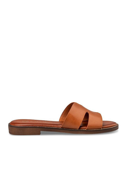 Envie Shoes
