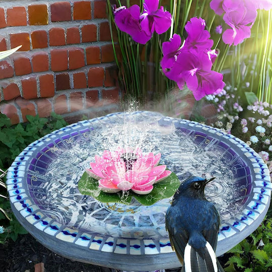 113531 Fountain