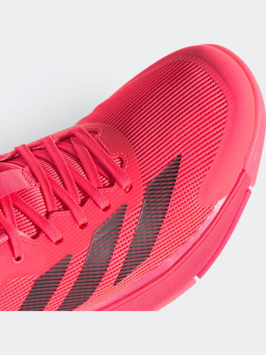 adidas adidas Crazyquick Herren Tennisschuhe Padel Schwarz