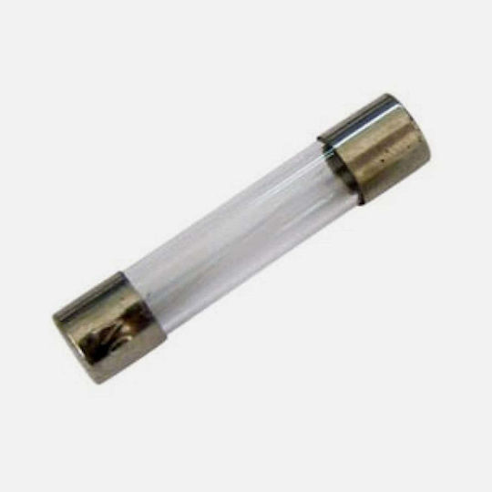 Siguranță rapidă din sticlă 6x30mm S1019 1A Sxg 10 buc