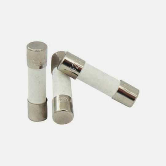 Safety Cylindrical Ceramic Fast-Bow 5x20mm 20A (01.165.0060) 10pcs