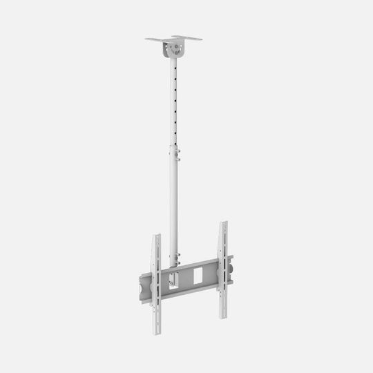 Jollyline TCM-3280 Βάση Τηλεόρασης Οροφής έως 80" και 50kg