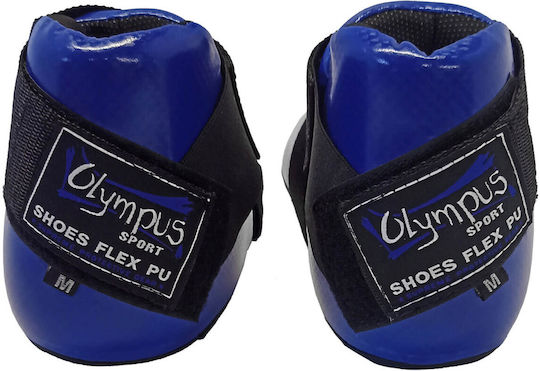Olympus Sport Carbon Kampfsport Beinschützer Erwachsene Blau