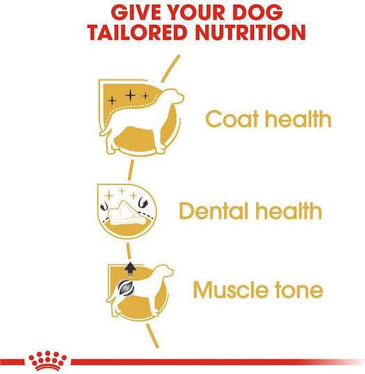 Royal Canin Poodle 1.5kg Dry Food for Adult Dogs with Poultry