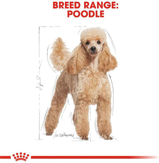 Royal Canin Poodle 1.5kg Dry Food for Adult Dogs with Poultry