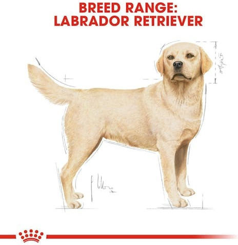 Royal Canin Labrador 12kg Ξηρά Τροφή για Ενήλικους Σκύλους