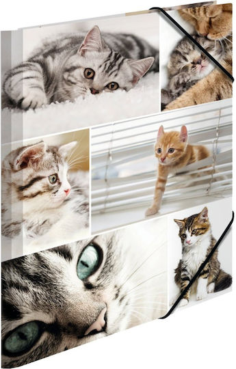 Herma A4 Katzen Themen Klemmbrett – Pappe – Elastische Riemen – 3 Klappen